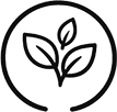 Natural botanical leaf in black and white representing pure plant-based ingredients and natural wellness products